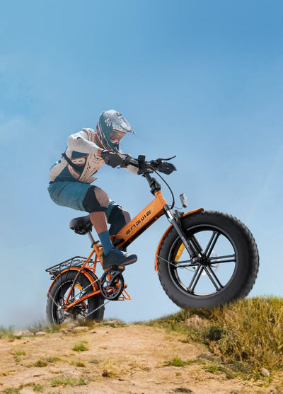 Biciclette Elettriche