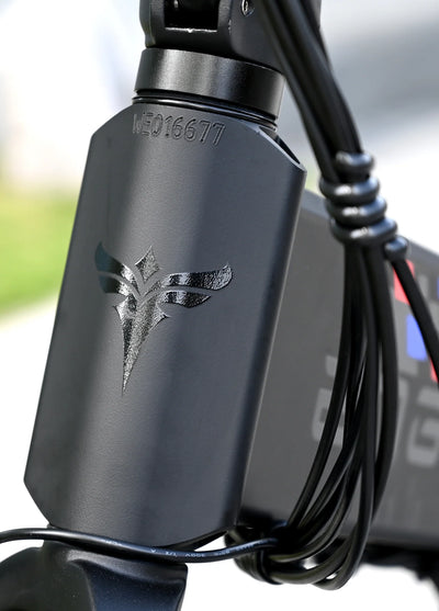 ENGWE ENGINE X Motore 250W