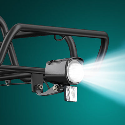 ENGWE L20 Boost | MOTORE 250