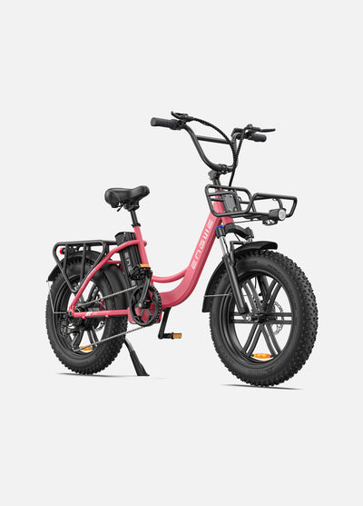 ENGWE L20 MOTORE 250W