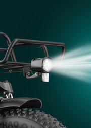 ENGWE L20 Boost | MOTORE 250