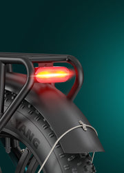 ENGWE L20 Boost | MOTORE 250