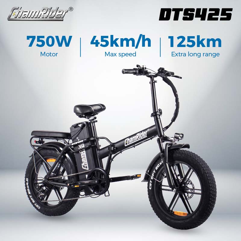 ChamRider DTS425 Ebike