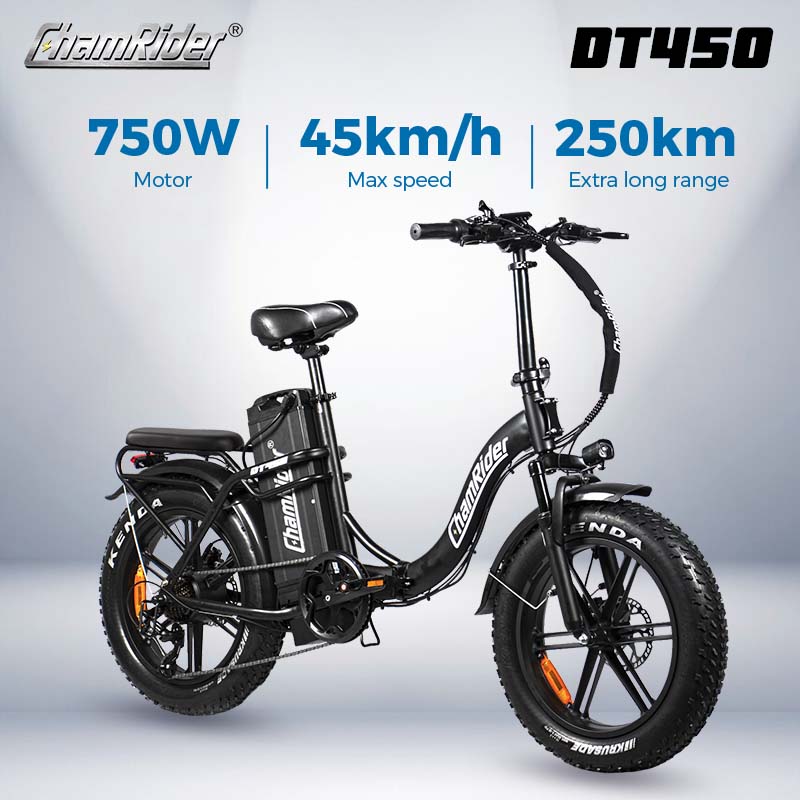 ChamRider DT450 Ebike - 48V50AH