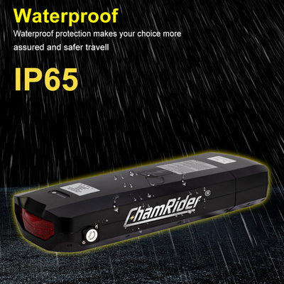 Batteria CHAMRIDER Originale 48V30Ah +Portapacchi posteriore