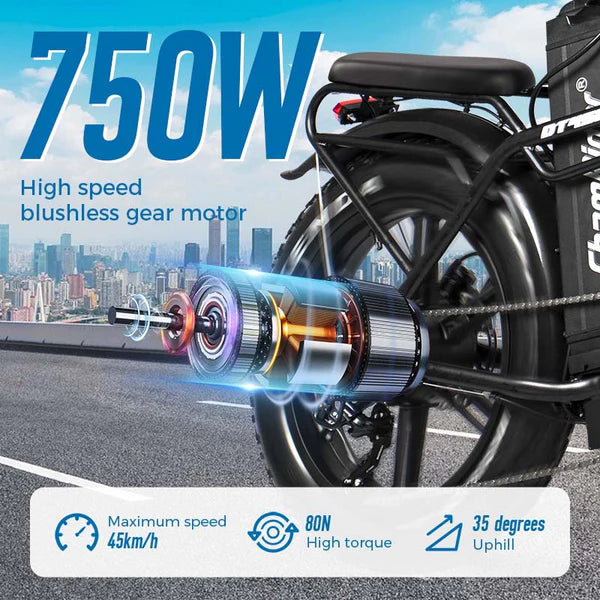 ChamRider DT450 Ebike - 48V50AH
