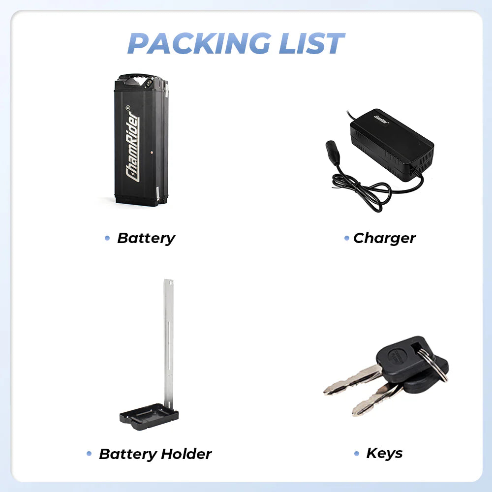 ChamRider 50AH Super Fish Battery - 48V E-bike Battery | DT450/DTS425 Compatible | Polymer cell, 50A BMS | Large-Capacity for European Food Delivery Riders