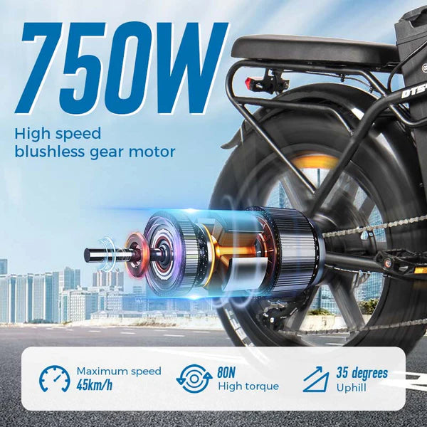 ChamRider DTS425 Ebike