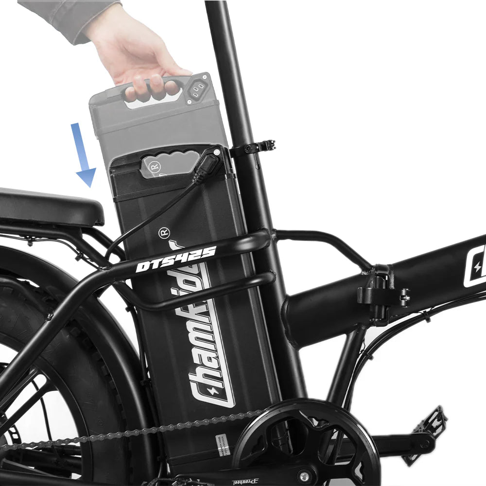 ChamRider 50AH Super Fish Battery - 48V E-bike Battery | DT450/DTS425 Compatible | Polymer cell, 50A BMS | Large-Capacity for European Food Delivery Riders