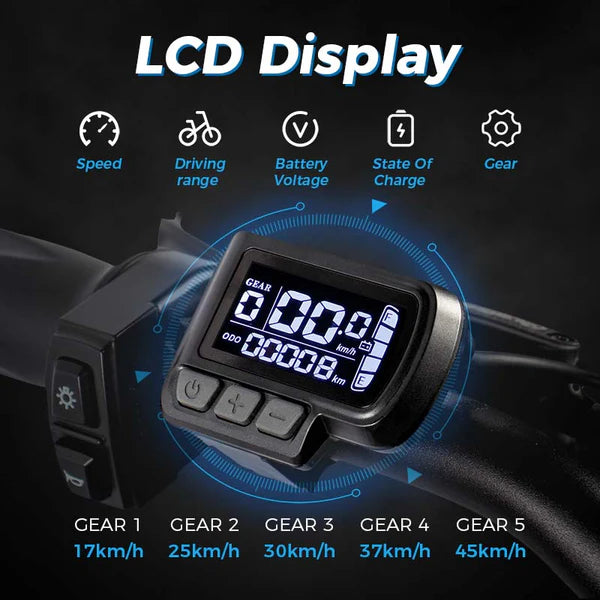 ChamRider DTS425 Ebike