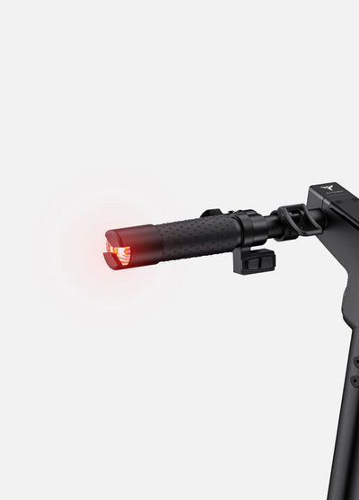 ENGWE Y10 Motore 350W