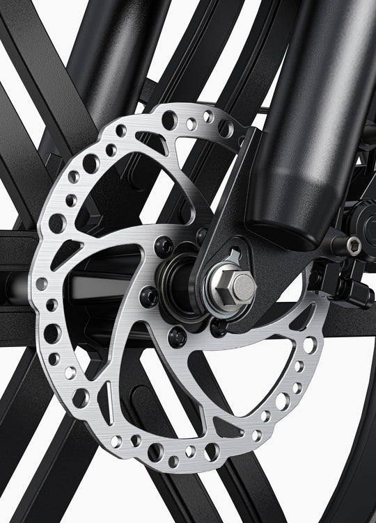 ENGWE L20 Boost | MOTORE 250