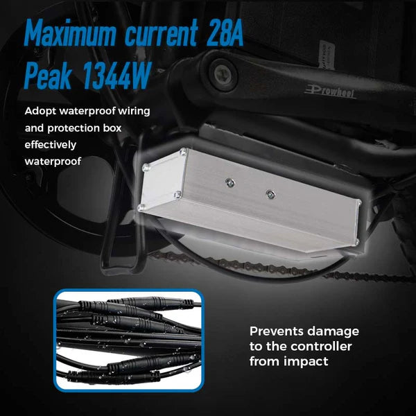 ChamRider DTS425 Ebike