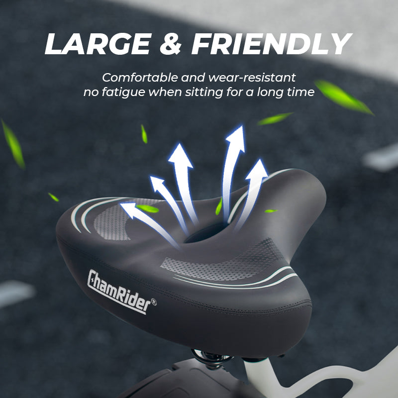 ChamRider DT450: Sistema Shimano Completo + Potenza 48V 50AH per consegne senza sosta!