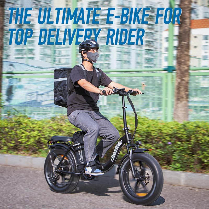 ChamRider DT450 Ebike - 48V50AH