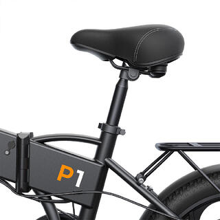 ENGWE P1 Bicicletta elettrica pieghevole con pneumatico da 20 pollici
